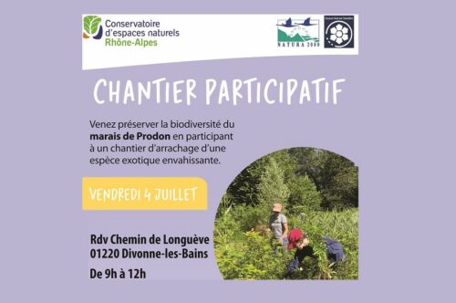 Chantier participatif au marais de Prodon
