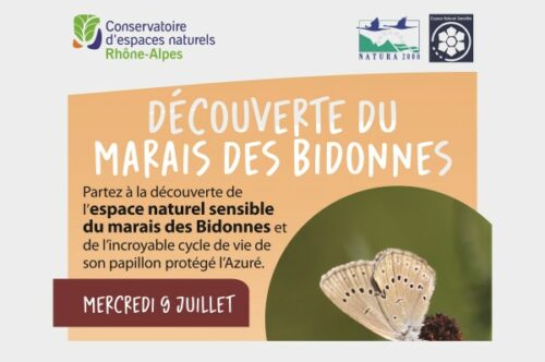 Animation nature au marais des Bidonnes