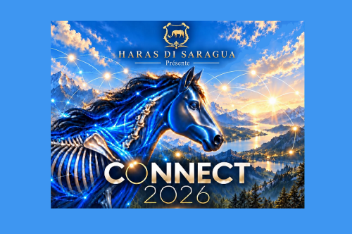 Connect 2026 – Haras di Saragua